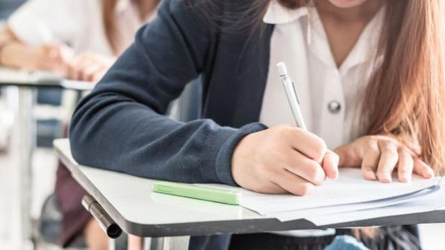 LGS Yerleştirme Sonuçları Açıklandı