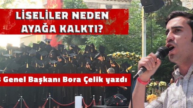 Liseliler Neden Ayağa Kalktı?
