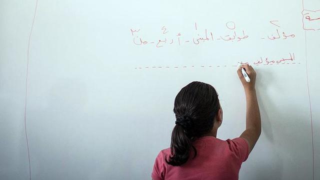 Arapça kitapları millet yerine ümmeti getiriyor