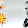 Danıştay: Devlet Nişanlarından Atatürk Kabartması Çıkartılmaz