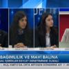 Mavi Balina'ya Karşı TLB'nin Reçetesi Hazır