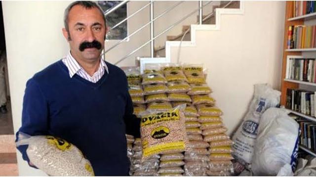 Nohutçuyu Yakından Tanıyalım